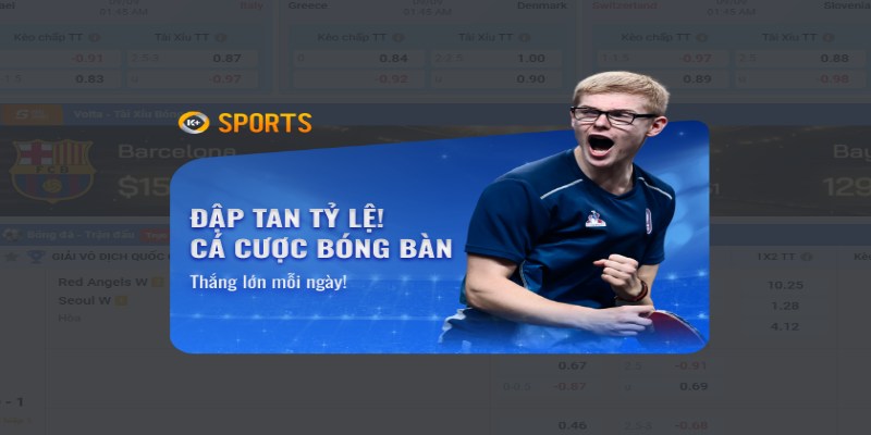 Hệ thống bình luận viên chuyên nghiệp giúp người chơi hiểu rõ về trận đấu